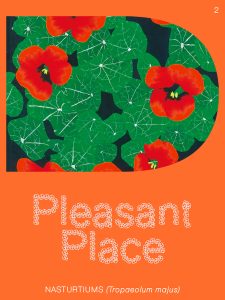 Pleasant Place # 02