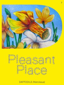 Pleasant Place # 07