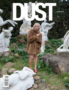 Dust # 29