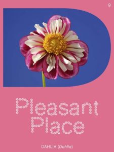 Pleasant Place # 09